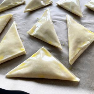 frozen-chicken-cheese-samosi-12-pcs